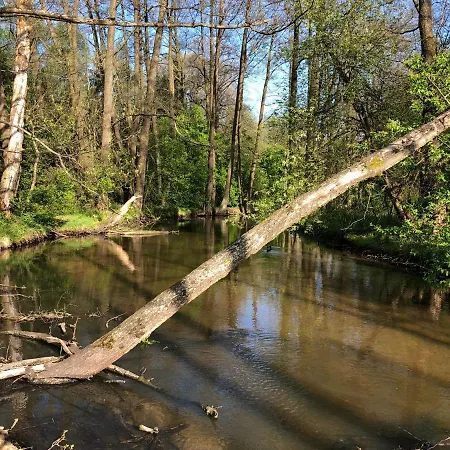 Roztoczanskie Chatki Kaczorki Esterno foto